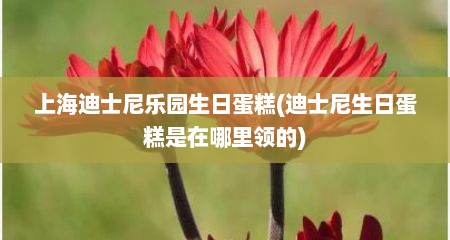 上海迪士尼乐园生日蛋糕(迪士尼生日蛋糕是在哪里领的)