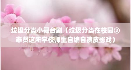 垃圾分类小舞台剧（垃圾分类在校园②奉贤这所学校师生自编自演皮影戏）