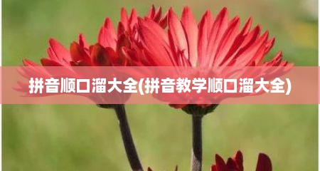 拼音顺口溜大全(拼音教学顺口溜大全)
