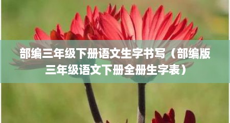 部编三年级下册语文生字书写（部编版三年级语文下册全册生字表）