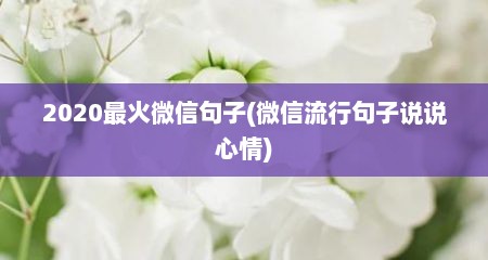 2020最火微信句子(微信流行句子说说心情)