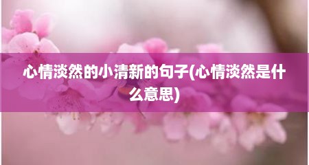心情淡然的小清新的句子(心情淡然是什么意思)