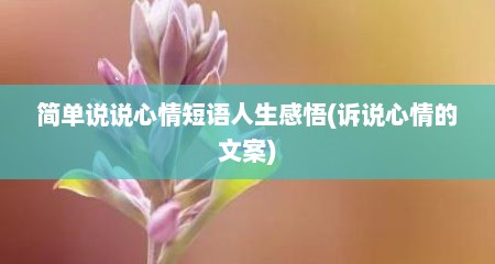 简单说说心情短语人生感悟(诉说心情的文案)