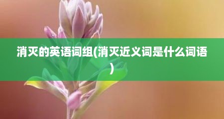 消灭的英语词组(消灭近义词是什么词语)