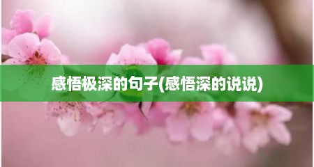 感悟极深的句子(感悟深的说说)