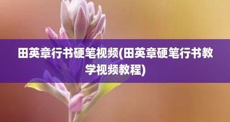 田英章行书硬笔视频(田英章硬笔行书教学视频教程)