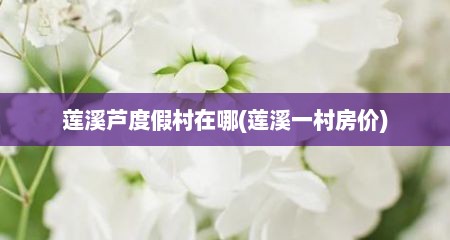 莲溪芦度假村在哪(莲溪一村房价)