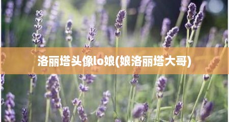 洛丽塔头像lo娘(娘洛丽塔大哥)