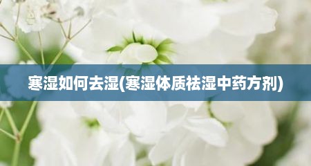 寒湿如何去湿(寒湿体质祛湿中药方剂)
