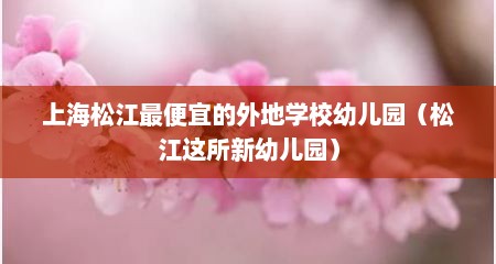 上海松江最便宜的外地学校幼儿园（松江这所新幼儿园）