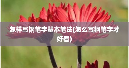 怎样写钢笔字基本笔法(怎么写钢笔字才好看)