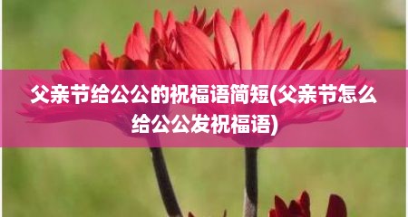 父亲节给公公的祝福语简短(父亲节怎么给公公发祝福语)