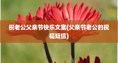 祝老公父亲节快乐文案(父亲节老公的祝福短信)