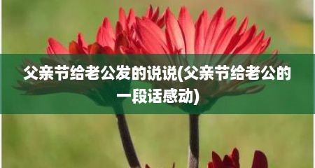 父亲节给老公发的说说(父亲节给老公的一段话感动)