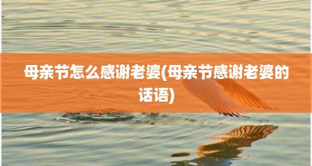 母亲节怎么感谢老婆(母亲节感谢老婆的话语)