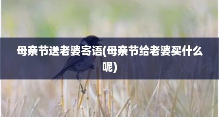 母亲节送老婆寄语(母亲节给老婆买什么呢)
