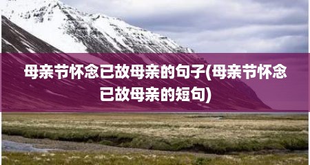 母亲节怀念已故母亲的句子(母亲节怀念已故母亲的短句)