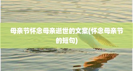 母亲节怀念母亲逝世的文案(怀念母亲节的短句)