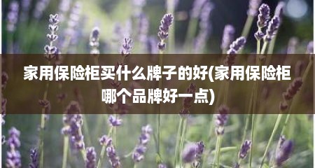 家用保险柜买什么牌子的好(家用保险柜哪个品牌好一点)