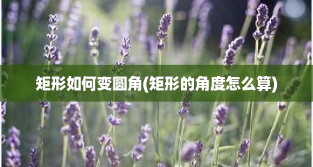 矩形如何变圆角(矩形的角度怎么算)
