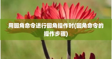 用圆角命令进行圆角操作时(圆角命令的操作步骤)