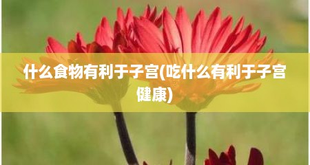 什么食物有利于子宫(吃什么有利于子宫健康)