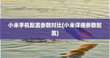 小米手机配置参数对比(小米详细参数配置)