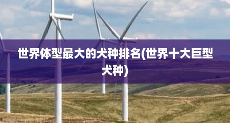 世界体型最大的犬种排名(世界十大巨型犬种)