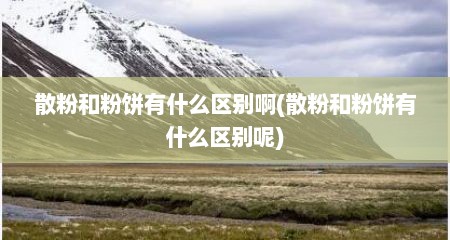 散粉和粉饼有什么区别啊(散粉和粉饼有什么区别呢)
