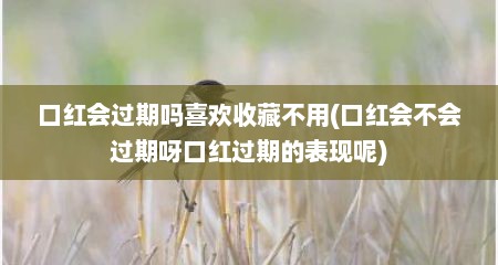 口红会过期吗喜欢收藏不用(口红会不会过期呀口红过期的表现呢)