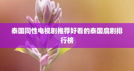 泰国同性电视剧推荐好看的泰国腐剧排行榜