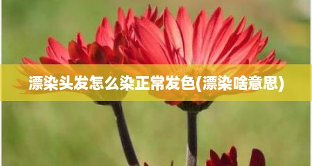 漂染头发怎么染正常发色(漂染啥意思)