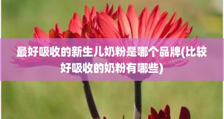 最好吸收的新生儿奶粉是哪个品牌(比较好吸收的奶粉有哪些)