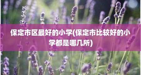 保定市区最好的小学(保定市比较好的小学都是哪几所)