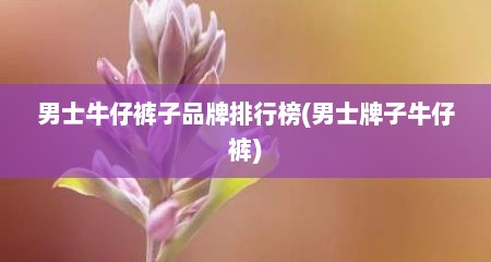 男士牛仔裤子品牌排行榜(男士牌子牛仔裤)