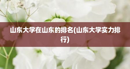 山东大学在山东的排名(山东大学实力排行)
