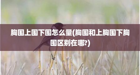 胸围上围下围怎么量(胸围和上胸围下胸围区别在哪?)