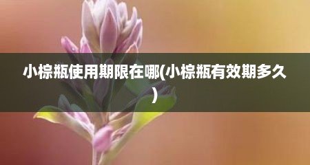 小棕瓶使用期限在哪(小棕瓶有效期多久)