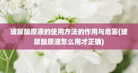 玻尿酸原液的使用方法的作用与危害(玻尿酸原液怎么用才正确)
