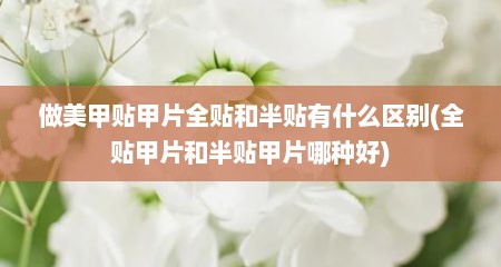 做美甲贴甲片全贴和半贴有什么区别(全贴甲片和半贴甲片哪种好)