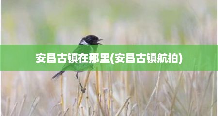 安昌古镇在那里(安昌古镇航拍)