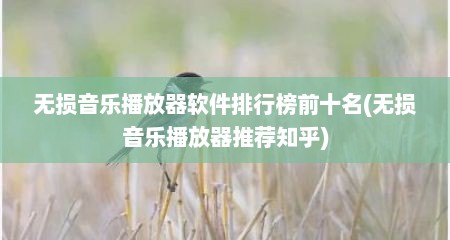无损音乐播放器软件排行榜前十名(无损音乐播放器推荐知乎)