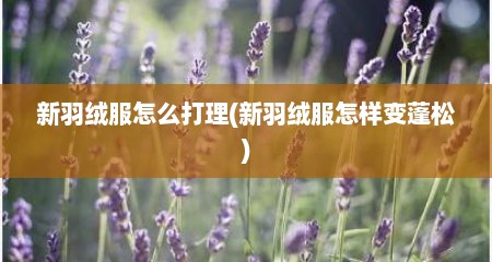 新羽绒服怎么打理(新羽绒服怎样变蓬松)