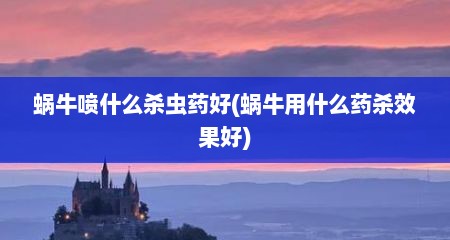 蜗牛喷什么杀虫药好(蜗牛用什么药杀效果好)
