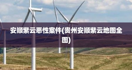 安顺紫云恶性案件(贵州安顺紫云地图全图)