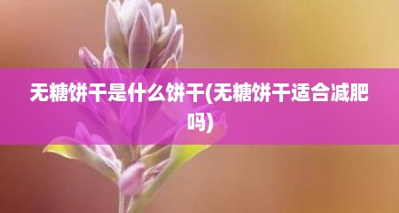 无糖饼干是什么饼干(无糖饼干适合减肥吗)
