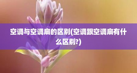 空调与空调扇的区别(空调跟空调扇有什么区别?)