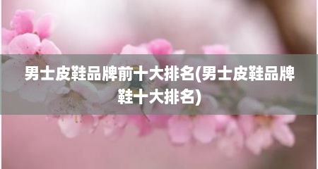 男士皮鞋品牌前十大排名(男士皮鞋品牌鞋十大排名)