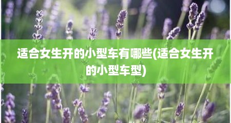 适合女生开的小型车有哪些(适合女生开的小型车型)