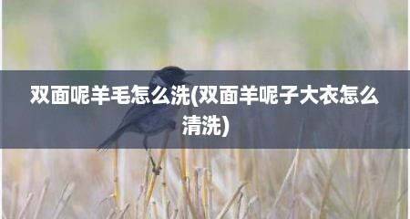 双面呢羊毛怎么洗(双面羊呢子大衣怎么清洗)